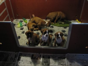 Fred's foto's 002