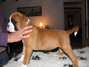 Fred's foto's 013
