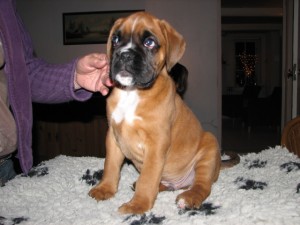Fred's foto's 023