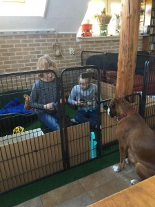 IMG-20160229-WA0017