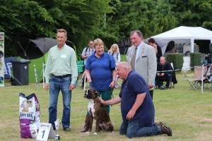 NBC Jahressieger juni 2015 Best pup in show